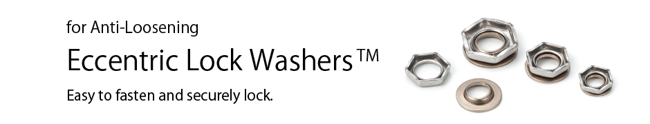 Eccentric Lock Washers